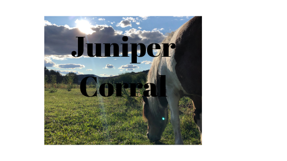 Juniper Corral